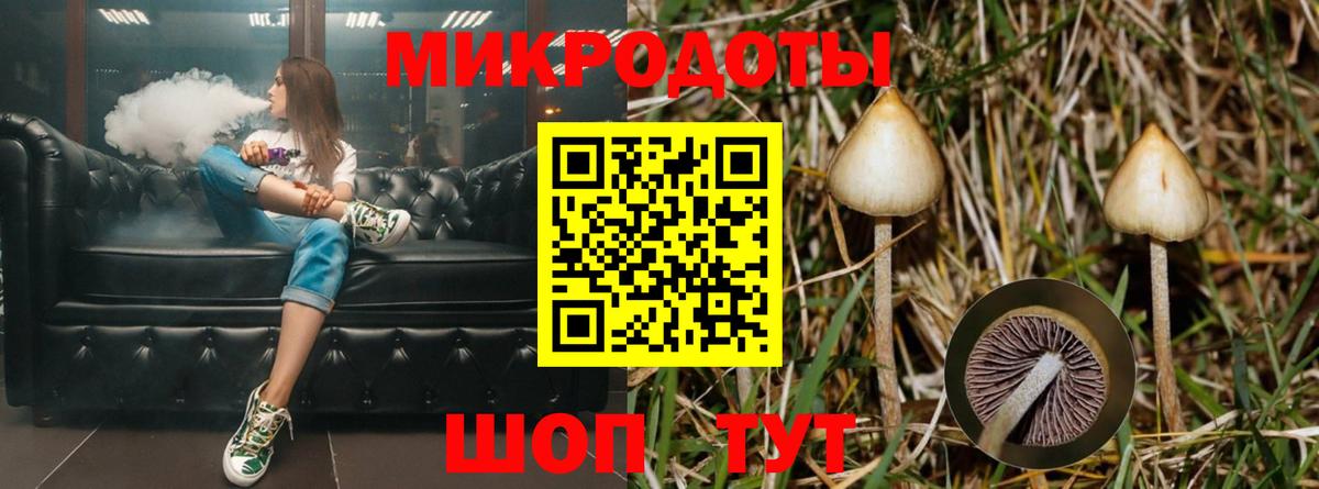 Ишимбай  Галлюциногенные грибы GOLDEN TEACHER  Вход с VPN  Псилоцибиновые грибы Psilocybe 