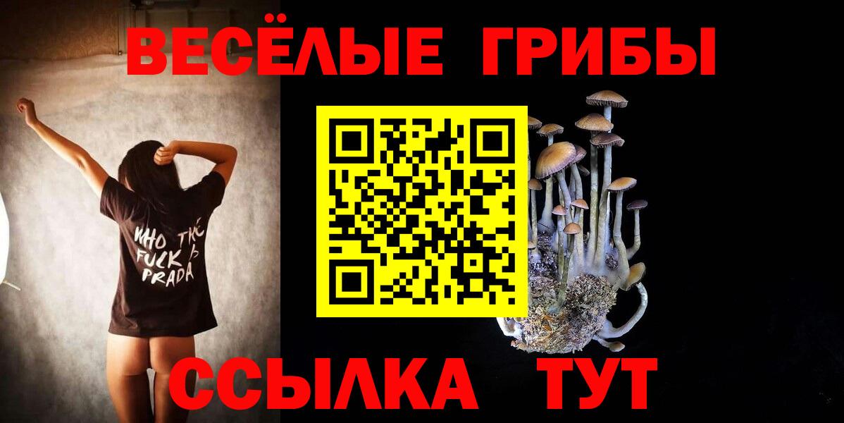 Псилоцибиновые грибы MAGIC MUSHROOMS Ишимбай